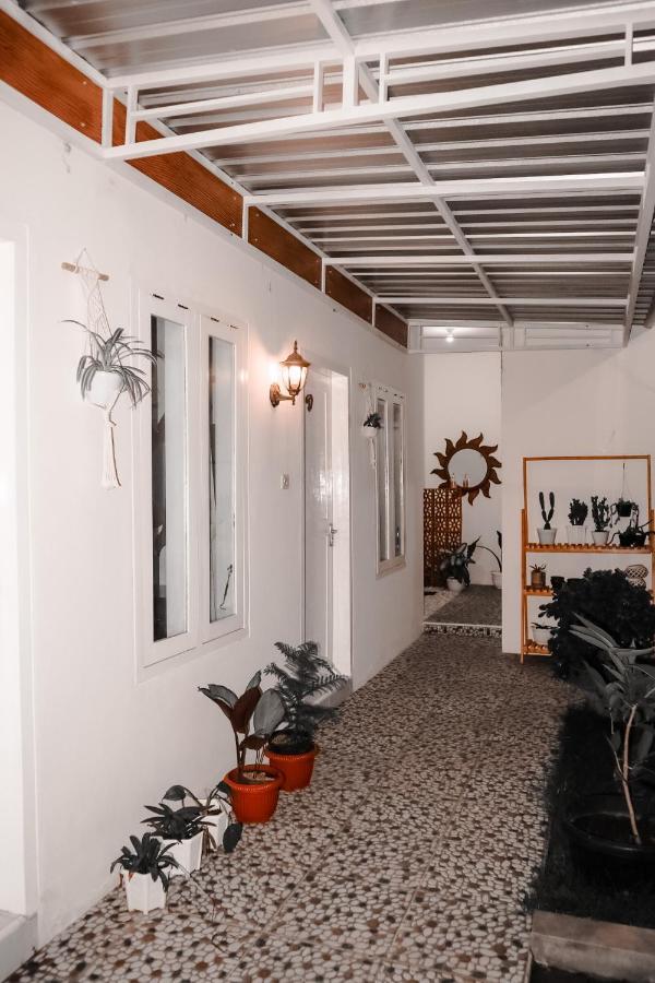 Tropical Paradiso Homestay Banyuwangi  Buitenkant foto